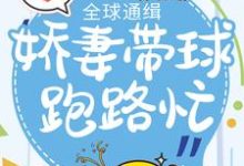 全球通缉:娇妻带球跑路忙免费阅读,全球通缉:娇妻带球跑路忙章节在线阅读-书评酱
