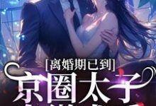 离婚期已到！京圈太子卑微求爱章节免费在线阅读，沈青瓷席星野完结版-书评酱