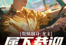 《赘婿翻身：龙主，属下恭迎您归位》全集免费在线阅读（叶尘林含雪）-书评酱