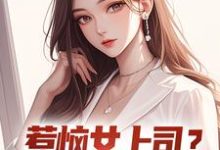 张文定小说在线章节免费阅读(惹恼女上司?我有妙计摆平无弹窗无删减)-书评酱