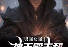 求男强女强:神王殿主和女特工闪婚了小说的全文免费阅读链接-书评酱