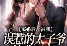 离婚后，被我误惹的太子爷接我回家小说，离婚后，被我误惹的太子爷接我回家最新章节-书评酱