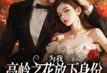 为我，高岭之花放下身份为爱发疯小说有没有完结版在线？-书评酱