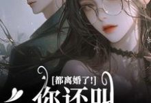 都离婚了!你还叫我夫人干嘛小说阅读,都离婚了!你还叫我夫人干嘛完结版-书评酱