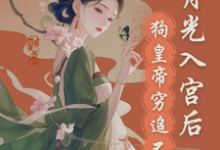 寻找宫斗？这皇帝根本不让我玩小说的最新更新章节-书评酱