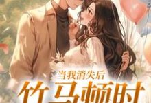 当我消失后,竹马顿时衰神附体这本小说怎么样?免费在线阅读试试-书评酱