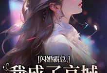 寻找闪婚霸总，我成了京城千亿宠儿小说的最新更新章节-书评酱