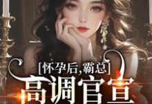 已完结小说《怀孕后，霸总高调官宣，渣男悔断肠》在线章节阅读-书评酱
