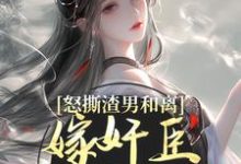 沈蕴之宋窈窈小说在线章节免费阅读（怒撕渣男和离，嫁奸臣高攀不起无弹窗无删减）-书评酱