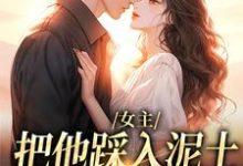 女主把他踩入泥土,我捧起来呵护小说完结版章节免费阅读-书评酱