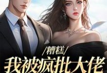 求糟糕，我被疯批大佬缠上了！小说免费资源-书评酱
