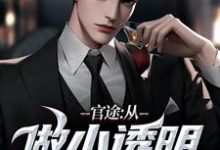 何涛小说《官途：从做小透明开始》在线阅读-书评酱