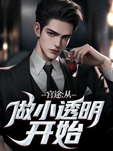 何涛小说《官途：从做小透明开始》在线阅读