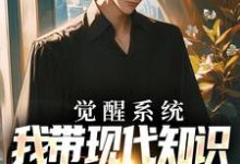 觉醒系统,我带现代知识到赤红年代小说,觉醒系统,我带现代知识到赤红年代在线阅读-书评酱