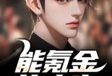 李凡苏可可小说叫什么(能氪金的人生,谁还肝啊免费阅读)-书评酱