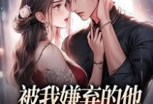 被我嫌弃的他，竟成了我的港湾小说，被我嫌弃的他，竟成了我的港湾在线阅读-书评酱