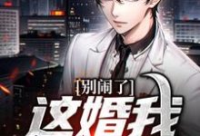 完结版《别闹了，这婚我离定了》章节目录在线阅读-书评酱