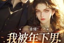 谁懂!我被年下男强取豪夺了小说无弹窗阅读的网站推荐-书评酱