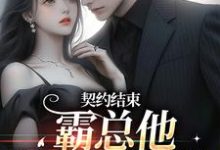 契约结束,霸总他跟我玩套路小说,契约结束,霸总他跟我玩套路在线阅读-书评酱