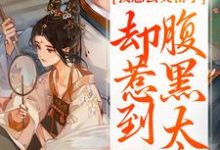 我想去父留子，却惹到腹黑太子（楚云汐顾承沐）在线免费阅读-书评酱