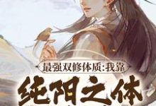 最强双修体质：我靠纯阳之体破境林浩宁轻雪小说在线章节目录阅读最新章节-书评酱