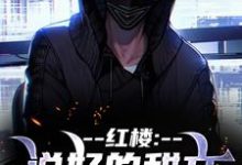 《红楼：说好的甜文咋变恐怖文了》全集免费在线阅读（齐洛）-书评酱