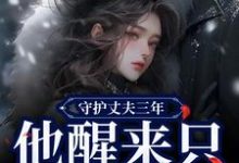 已完结小说《守护丈夫三年,他醒来只要白月光》最新章节-书评酱