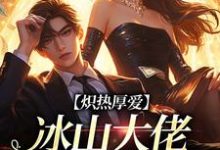 小说《炽热厚爱：冰山大佬逼我结婚》免费阅读-书评酱