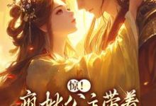 无删减版《惊!疯批公主带着敌国种杀回来了》章节目录在线阅读-书评酱