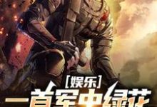 娱乐：一首军中绿花，军嫂破防免费阅读，娱乐：一首军中绿花，军嫂破防章节目录-书评酱