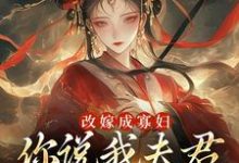 无删减版《改嫁成寡妇，你说我夫君又复活了？》免费阅读-书评酱