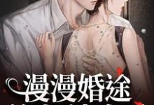 主人公迟今小说漫漫婚途:前夫,请自重在线阅读-书评酱