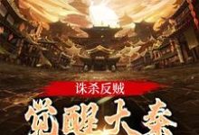主人公叫嬴启的小说诛杀反贼,觉醒大秦千年气运在线阅读-书评酱