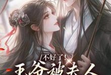 不好了！王爷被夫人驯成恋爱脑了主角叶流西穆景川小说无删减版在线阅读-书评酱