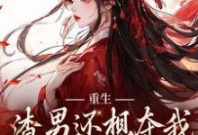 重生：渣男还想夺我儿女？没门小说免费资源，重生：渣男还想夺我儿女？没门在线阅读-书评酱