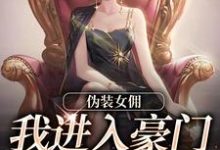 《伪装女佣，我进入豪门乱杀复仇》小说大结局免费试读 南熙子韩姝小说-书评酱