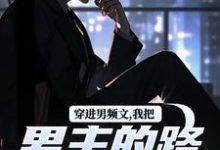 小说《穿进男频文,我把男主的路给堵了!》在线阅读-书评酱