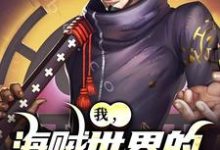 已完结小说《我,海贼世界的不死大将》在线阅读-书评酱