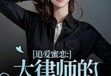 追爱蜜恋：大律师的惹火宝贝小说在线无弹窗免费阅读-书评酱