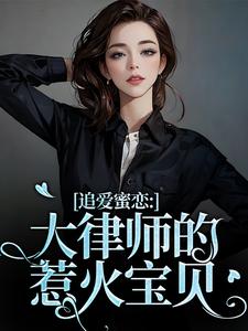 追爱蜜恋：大律师的惹火宝贝小说在线无弹窗免费阅读