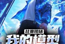 主角叫庞和平小说比赛现场,我的模型吓呆鹰酱免费阅读-书评酱