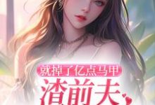 无删减版《就掉了亿点马甲,渣前夫哭着求复婚》在线免费阅读-书评酱