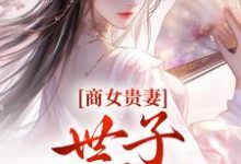 已完结小说《商女贵妻:世子,来算账》免费阅读-书评酱