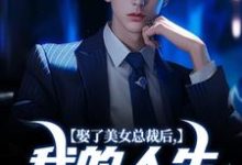 已完结小说《娶了美女总裁后，我的人生开挂了》最新章节-书评酱