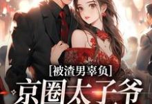 被渣男辜负,京圈太子爷化身治愈系沈颜季辞渊小说在线章节目录阅读最新章节-书评酱