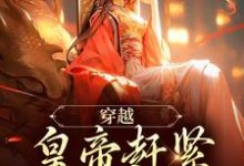 穿越：皇帝赶紧给我打江山如意康熙小说免费阅读-书评酱