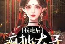 主角沈南枝萧迟小说我走后，疯批太子彻底癫了免费阅读-书评酱