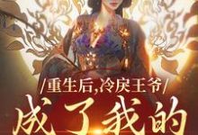 重生后,冷戾王爷成了我的小奶狗云想司空琰小说在线章节目录阅读最新章节-书评酱