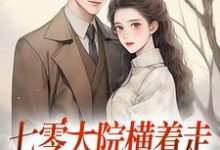 七零大院横着走，我是老公心尖宠小说，七零大院横着走，我是老公心尖宠楚月陆战凛无弹窗在线阅读-书评酱