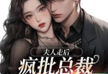 顾焕之苏妍小说《夫人走后，疯批总裁寻遍全世界》在线阅读-书评酱